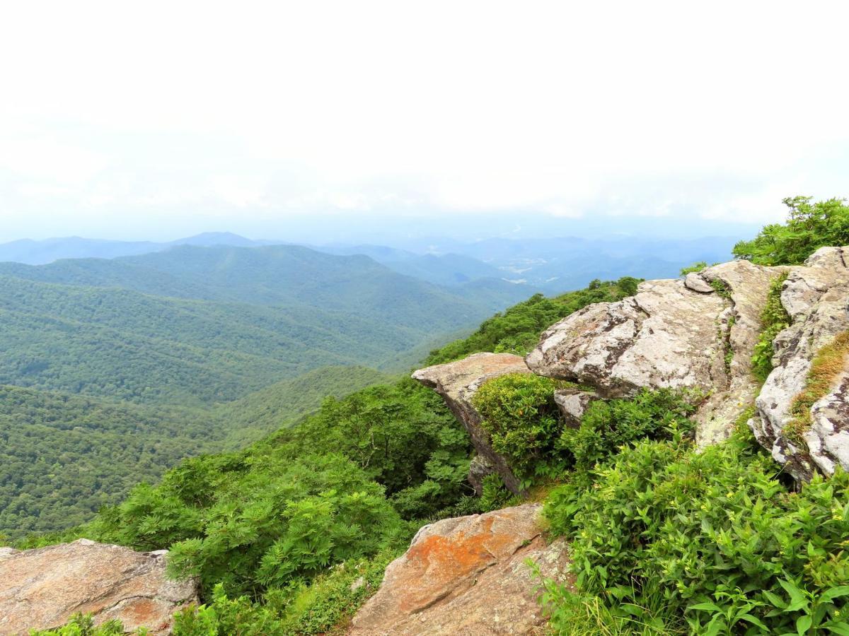 Treetops Cabin Easy To Asheville With Fast Wifi And Great View Swiss Extérieur photo
